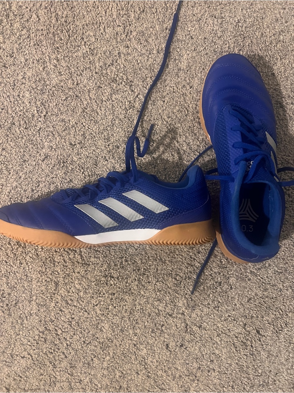 adidas Blue Athletic Shoes with White Logo